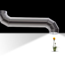 Hi Res Tube and Flower